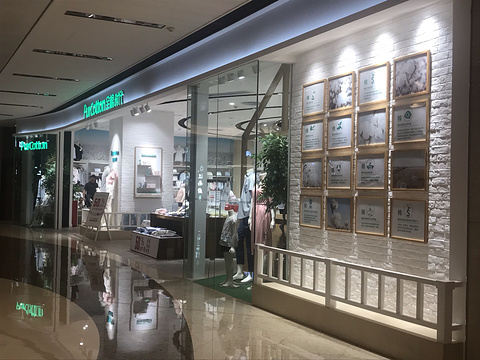 全棉时代purcotton(天汇igc店)