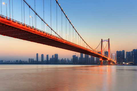 鹦鹉洲长江大桥的图片