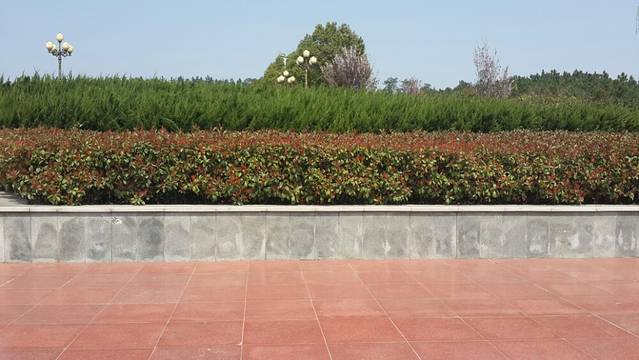 桐柏革命纪念馆