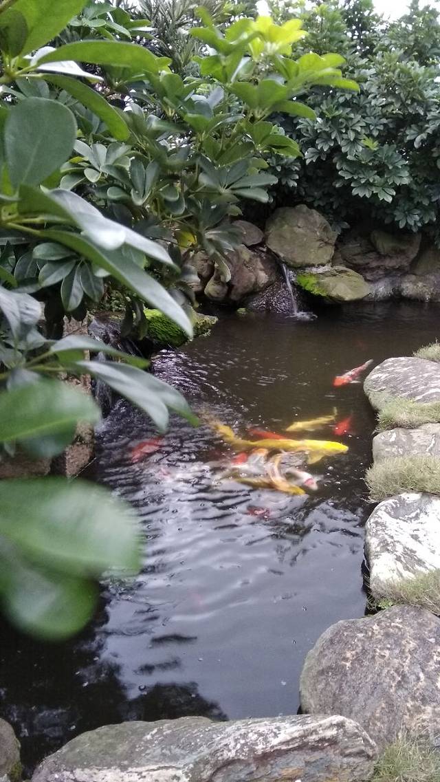 Checkers - 台北凯撒大饭店