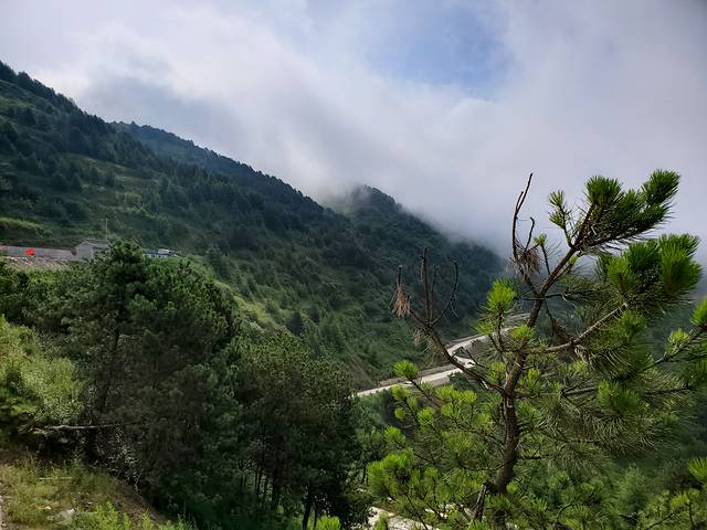 陇南香山自然保护区