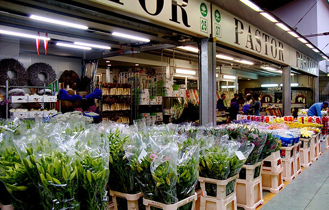 米兰花卉市场的图片