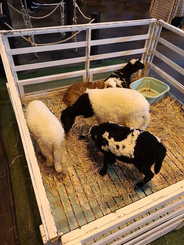 J-Park Sri Racha Nihon Mura