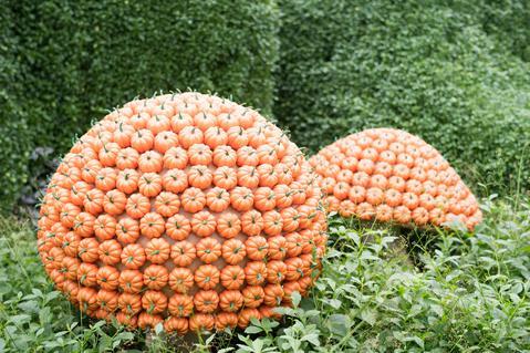 益阳现代农业示范园