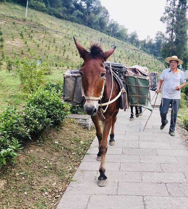 诸暨五泄山青水秀农家乐