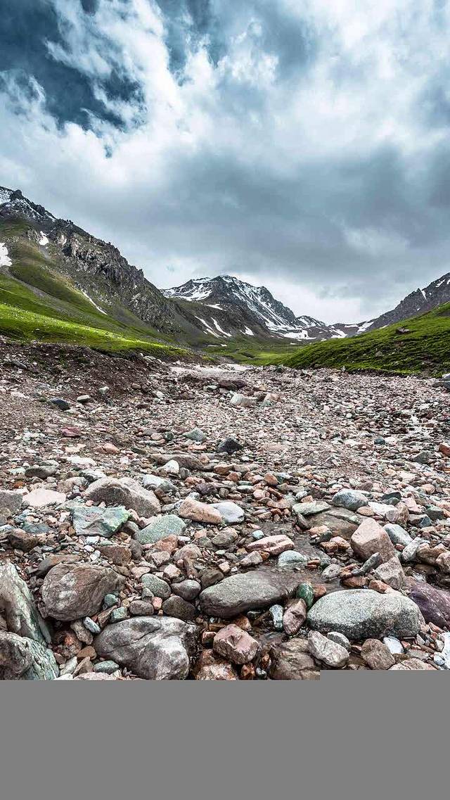 肯德基(大唐金地店)