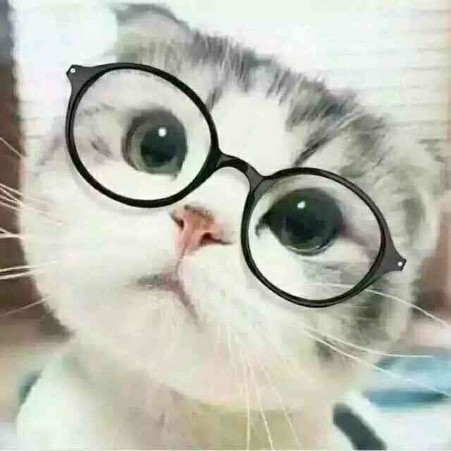 肯德基(中苏街店)