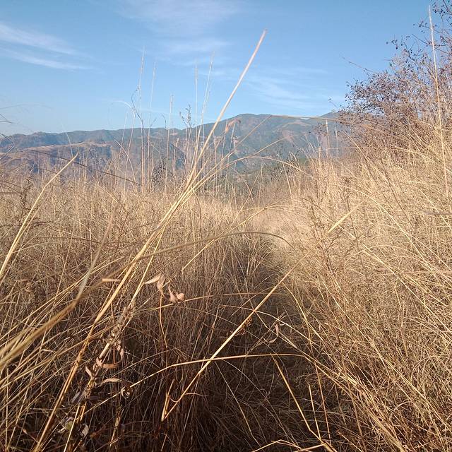 四川省德昌县图书馆