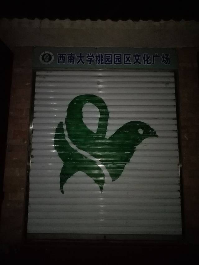 西南大学桃园园区文化广场