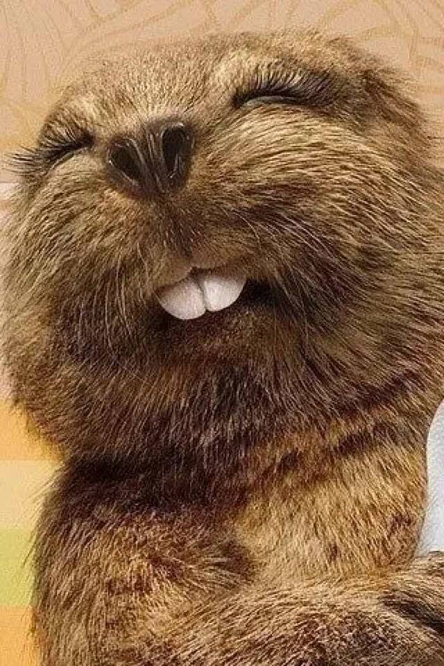 肯德基(西站南广场二号店)