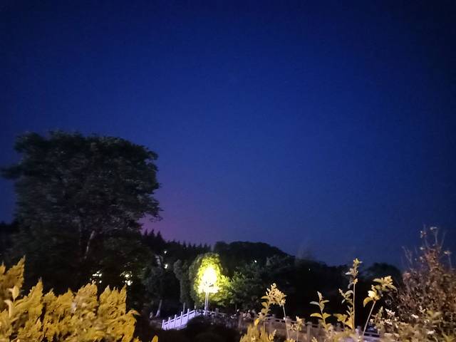 火腿广场