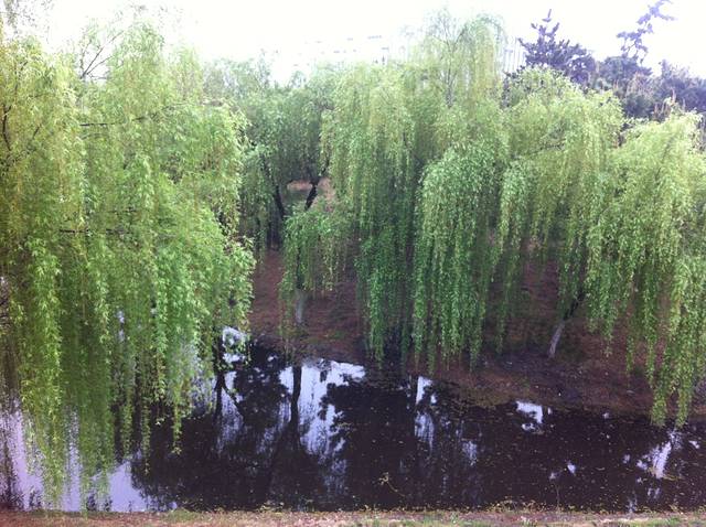 合肥工业大学翡翠湖校区第五食堂