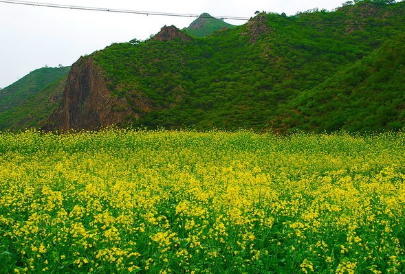 塞罕坝机械林场(总场治安派出所)