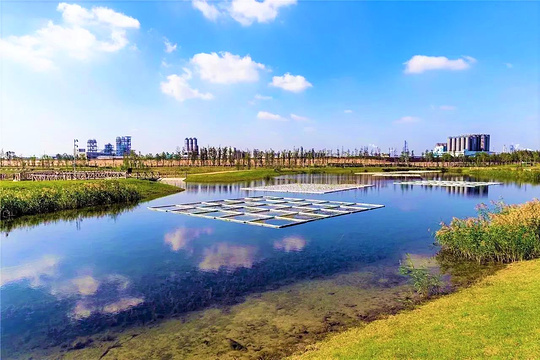 鹦鹉洲生态湿地旅游景点图片