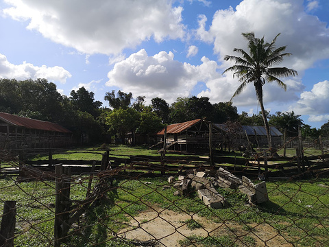 Dar es Salaam Zoo旅游景点图片