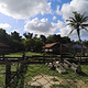 Dar es Salaam Zoo