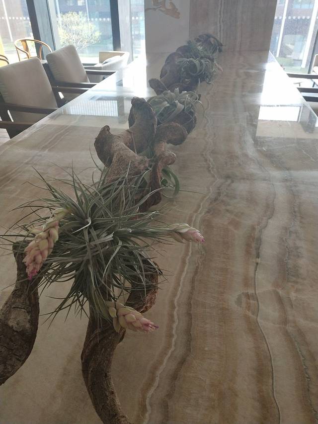 建业铂尔曼酒店-大堂酒廊&喜舍酒吧