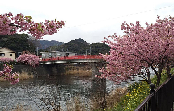 2021伊豆 旅游攻略 门票 地址 问答 游记点评 伊豆旅游旅游景点推荐 去哪儿攻略