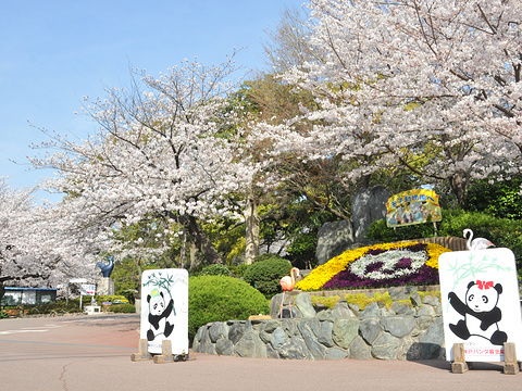 神户市立王子动物园旅游景点图片