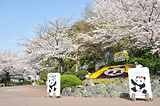 神户市立王子动物园