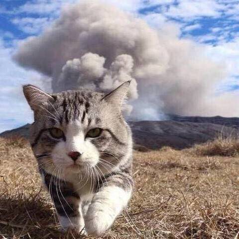 南通江南公社(高桥店)