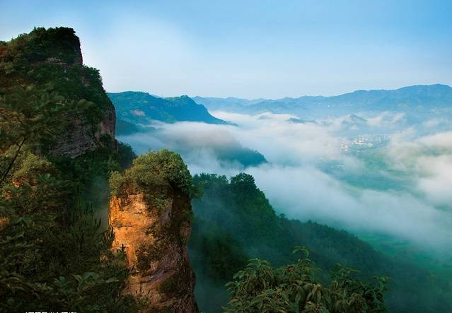 硅化木地质遗迹景区