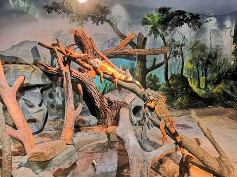 zoonana萌宠科普乐园旅游景点图片