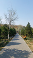 田村城市休闲公园