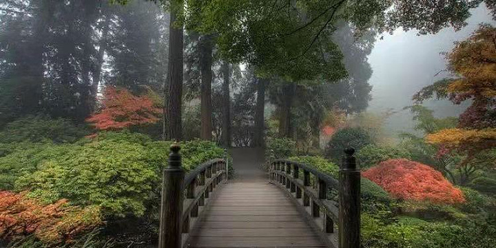 彭浦公园旅游景点图片