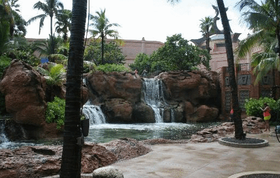 Marine Habitat at Atlantis旅游景点图片