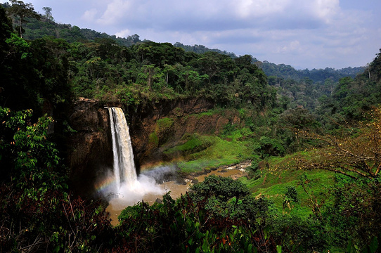 Ekom-Nkam Waterfalls旅游景点图片
