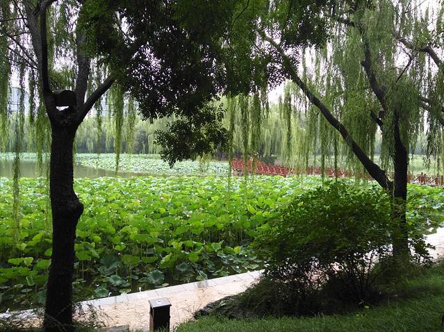 农展馆-后湖