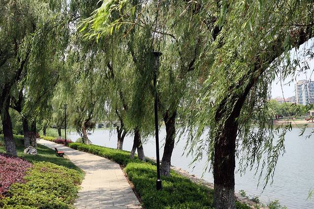 南京市示范文化广场