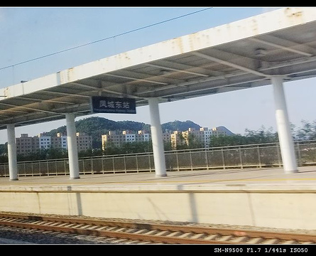 凤城东站的图片