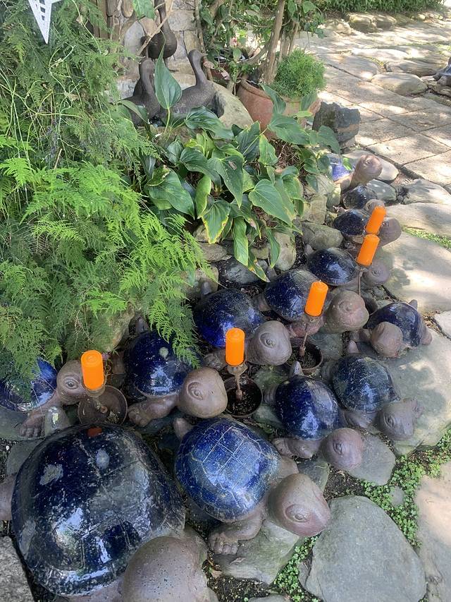 富豪群渡假民宿餐厅