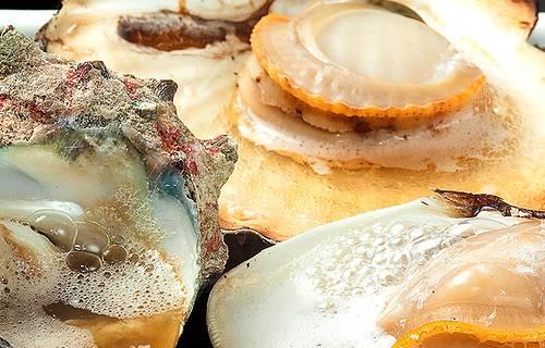 Isomara Suisan Akihabara