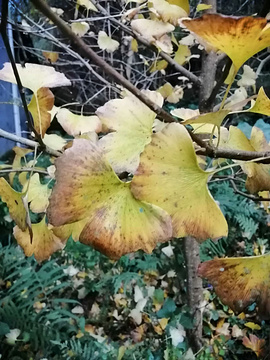 诚信超市(花丛卫生站西南)的图片