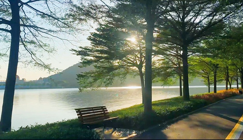 桂畔湖湿地公园