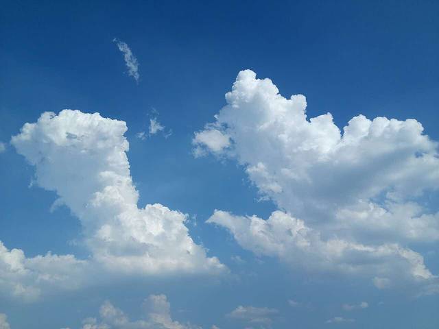 老潼关肉夹馍(东风路店)