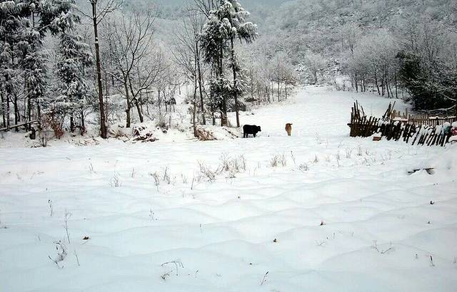 雪宝山国家森林公园