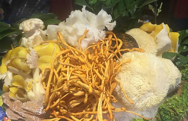 菌香园·野生菌火锅(吉大旗舰店)