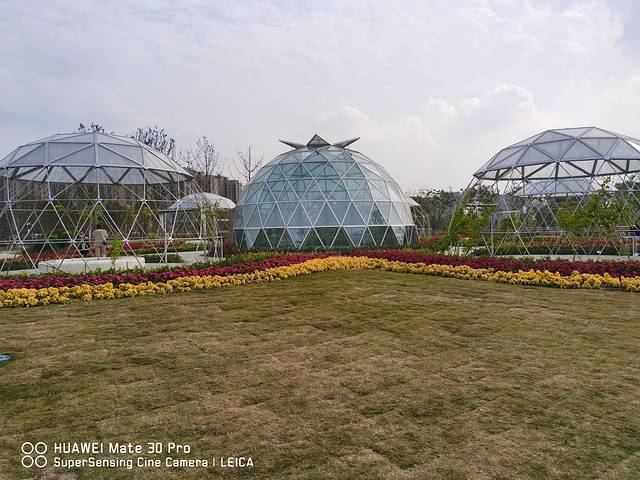 上海之鱼泡泡公园