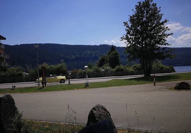 Action Forest Kletterwald