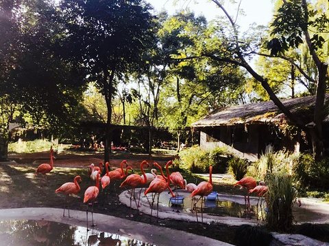 上海儿童动物园旅游景点图片