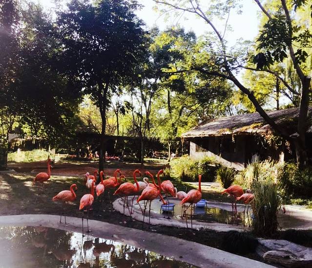 上海儿童动物园