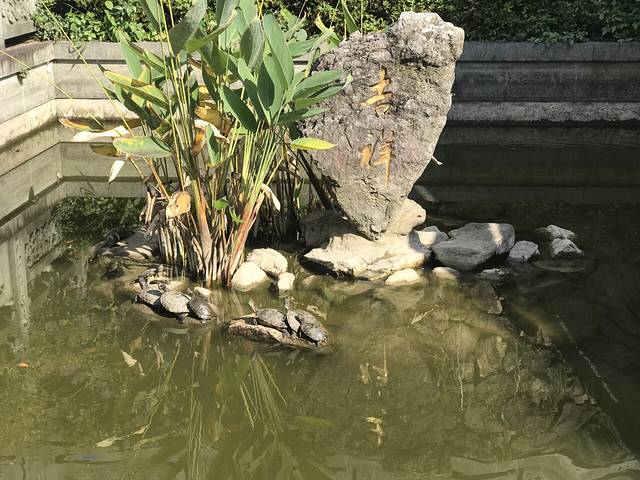 周恩来演讲纪念亭