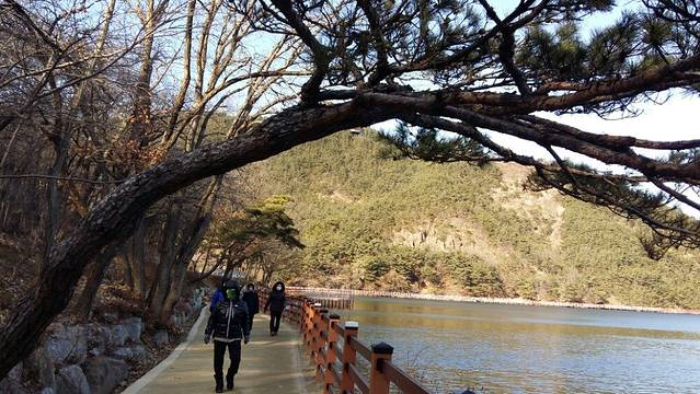 金乌山道立公园