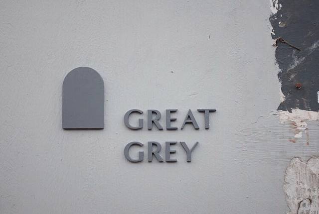 好灰Great Grey