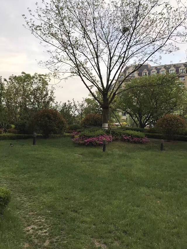 金沙滩希尔顿酒店·醇味餐厅