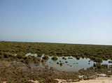 Al Dakhira Natural Reserves